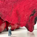 Anish Kapoor Exhibition