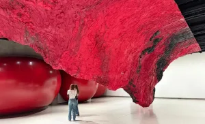 Anish Kapoor Exhibition